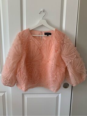 Eloquii Peach Puff-Sleeve Textured Ruffle Top